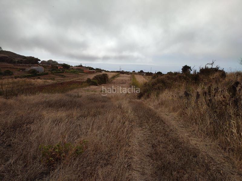 Foto e9cdeb3f-942c-4b9b-9823-21e2a391c50a. Finca rústica a La Esperanza - Llano del Moro Rosario (El)