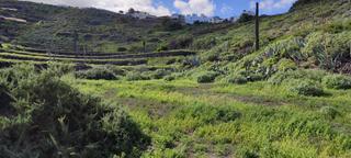 Finca rústica  Pasaje párroco báez. Venta de parcela de terreno rústico en trapiche.