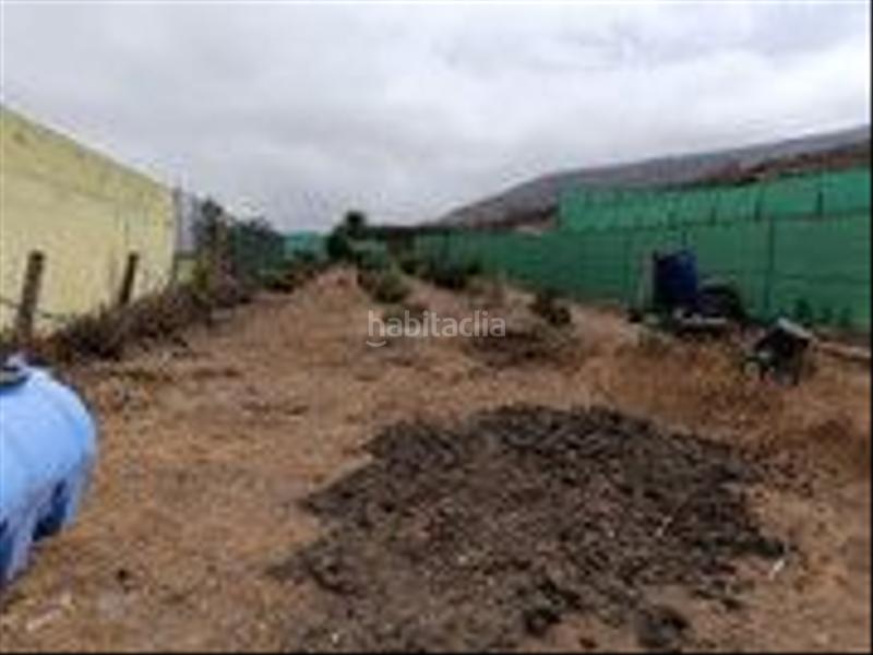 Foto 4bd9e441-2162-473c-8fc9-6d03186e61ad. Finca rústica a Barrial - San Isidro - Marmolejos Gáldar