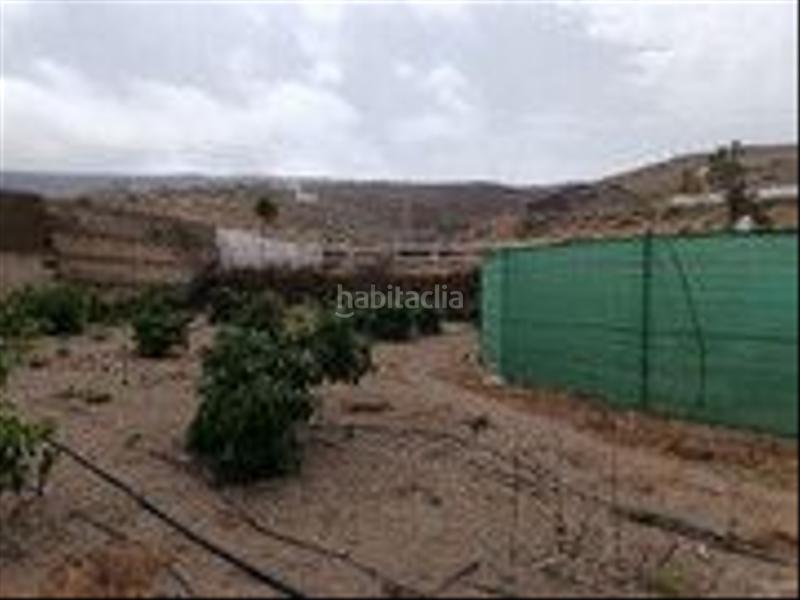 Foto cf658a55-cc94-49bf-a2e6-5b7852a74ef0. Finca rústica a Barrial - San Isidro - Marmolejos Gáldar