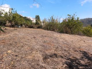 Finca rústica en Calle el chorrito 22