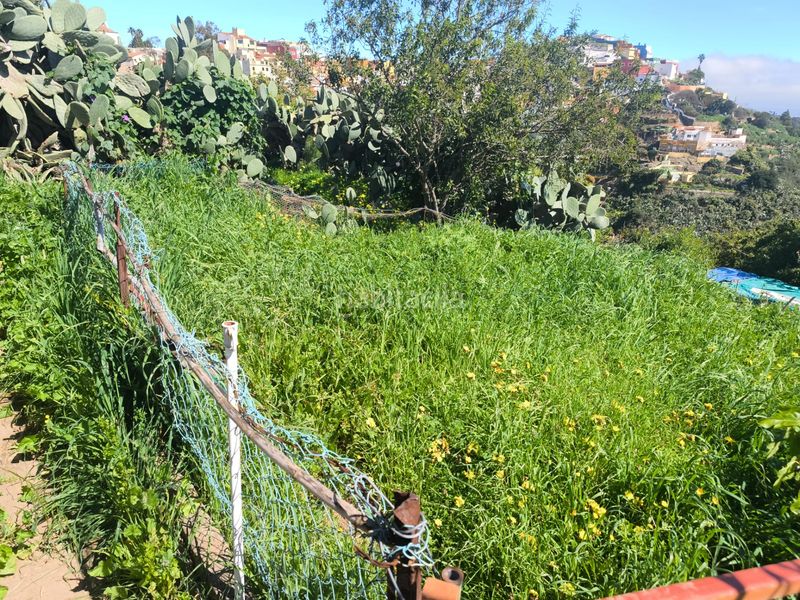 Foto 6c857c83-51af-4285-8415-f6e5bbed9b42. Finca rústica a San José de las Vegas - La Atalaya Santa Brígida