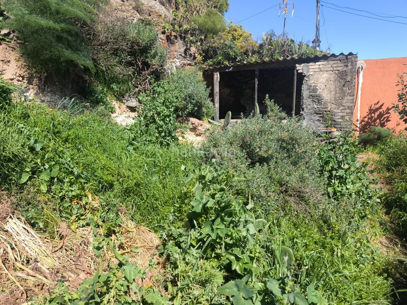 Foto 88dedf3c-1936-4f5a-be6a-d8d4ddfa7566. Finca rústica a San José de las Vegas - La Atalaya Santa Brígida