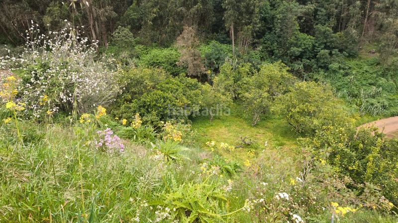 Foto 984161ff-5523-451a-9381-544b75acbd6f. Finca rústica a Moya