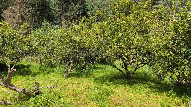 Foto 9e38f7de-fef9-4255-8454-317fe22971b3. Finca rústica a Moya