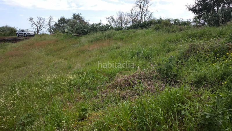 Foto be169454-2ad1-4928-988e-5c1eede82e58. Finca rústica a Moya