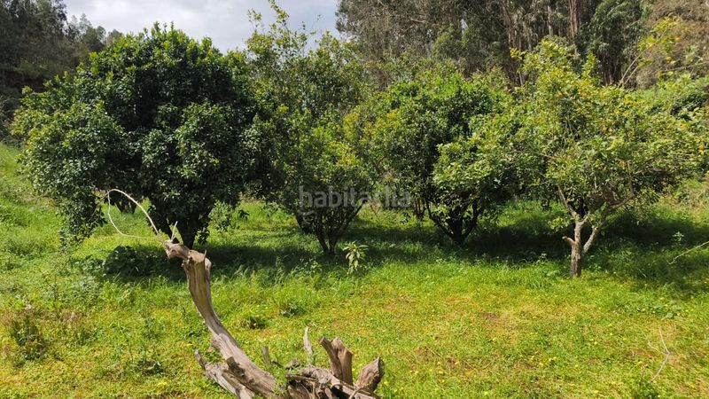 Foto c957be34-44a7-4b09-aab4-048bb97fd521. Finca rústica a Moya