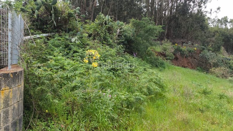 Foto cb4c3dea-17a5-4491-b902-16e41635a533. Finca rústica a Moya