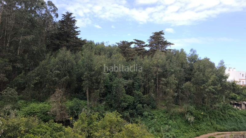 Foto d7c94672-88a6-4b36-9ac9-d0ff364a04a3. Finca rústica a Moya
