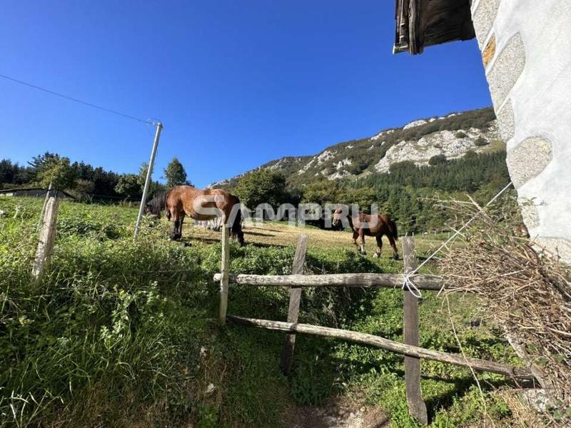 Foto b77cf6ae-6b14-4b35-ad89-f8d7f4288d31. Masía caserio en etxaguen en Aramaio