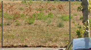 Rent Industrial plot in Torrent Ballester