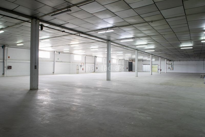 Foto 058550f1-720e-4484-b686-ee26e9e9157c. Rent industrial building in Beniparrell