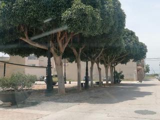 Residential Plot in Alcácer