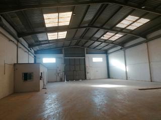 Lloguer Nau industrial a Alcácer. Nave alquiler en alcàsser