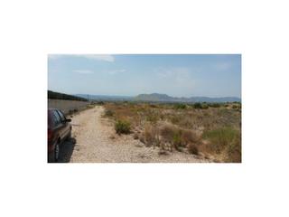 Residential Plot in Partida lomas gp. 2 321. Terreno venta albatera