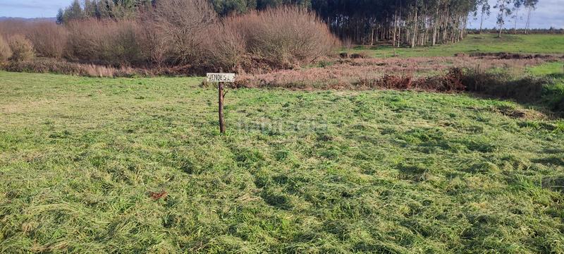 Foto 18815c4b-c141-4f81-bfd9-44011eb2d9c8. Terrain résidentiel dans lugar canteiros 1 dans San Mateo - Castro - O Val Narón