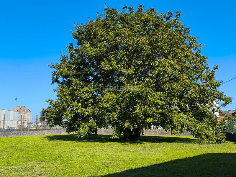 Foto cdc66911-965c-449f-9ce9-626307d8efec. Haus mit heizung in A Malata - Catabois - Ciudad Jardín Ferrol