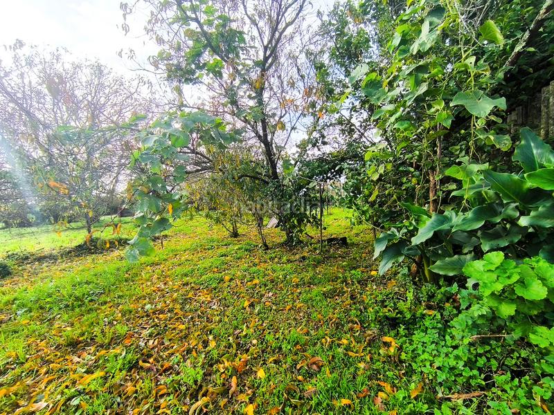 Foto c10565eb-0a34-4eed-842f-88929ef75eec. Haus in rúa do espiño 139 in A Malata - Catabois - Ciudad Jardín Ferrol