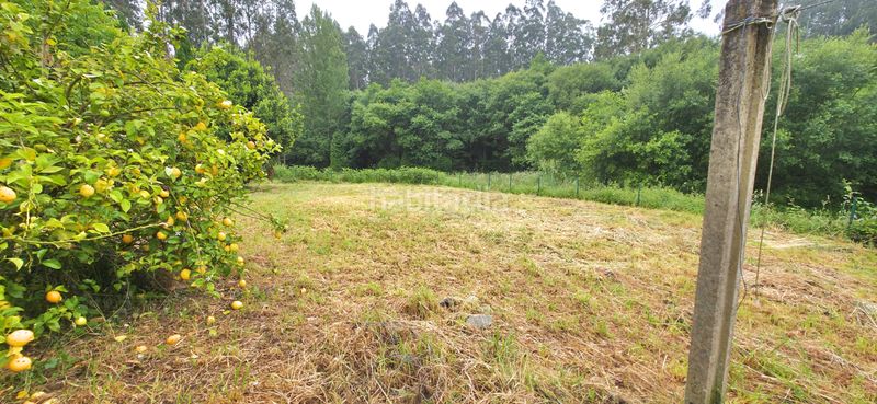 Foto be120ea0-b9be-4d30-8a19-192e4a5470e3. Casa amb aparcament a Cedeira