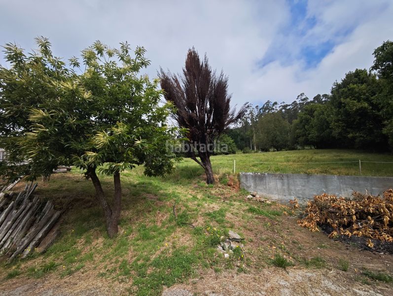 Foto e9ce5369-f74c-4521-ae46-8bf6af181355. Casa a n/a a Moeche