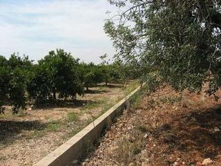 Residential Plot in Partidas de Interior - Zona Rústica