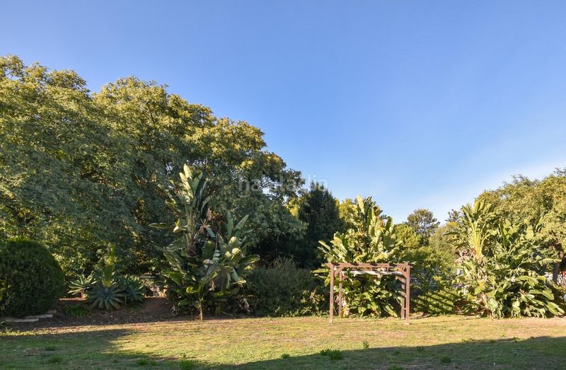 Foto 556b8e81-3f06-4bc6-9684-516e68ad7c67. Pis a Can Sans Sant Andreu de Llavaneres