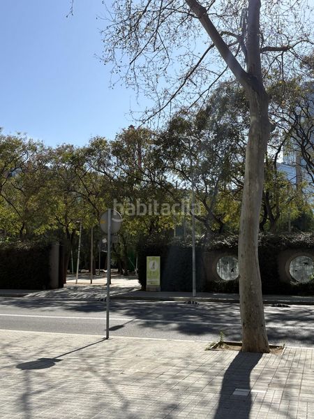 Foto 8ac49066-6758-4908-895e-1977511a33c6. Pis a Provençals del Poblenou Barcelona