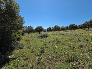 Fondo rustico in Tarifa Ciudad