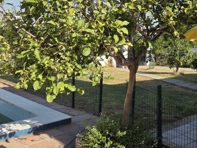 Foto 5ea6a171-35e3-4cf6-bdd6-e6b58fe643b9. Chalet avec cheminée parking piscine dans Los Pinos Algeciras