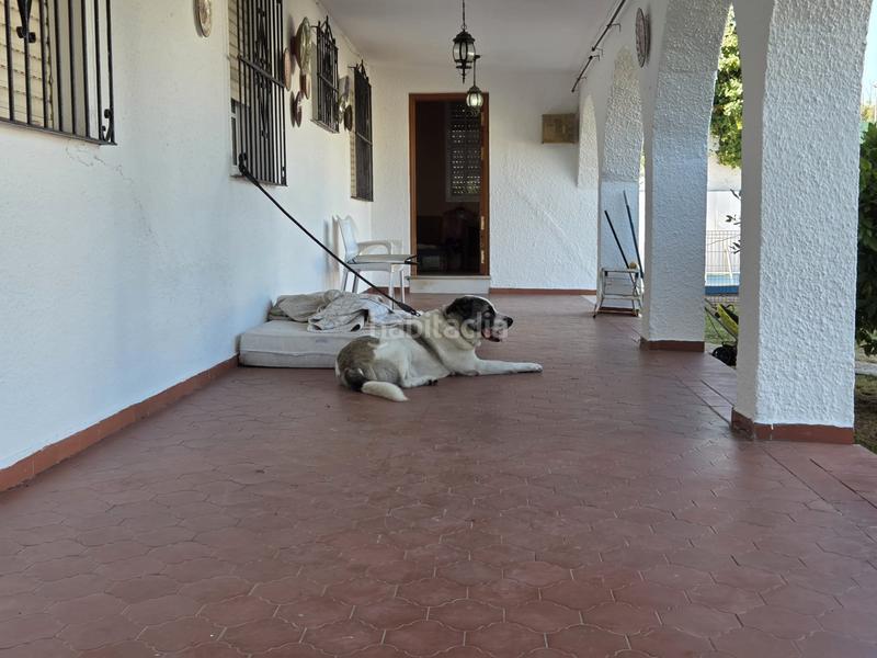 Foto 616cebc4-53ec-41da-a492-b0f27ad37a3e. Chalet en Los Pinos Algeciras