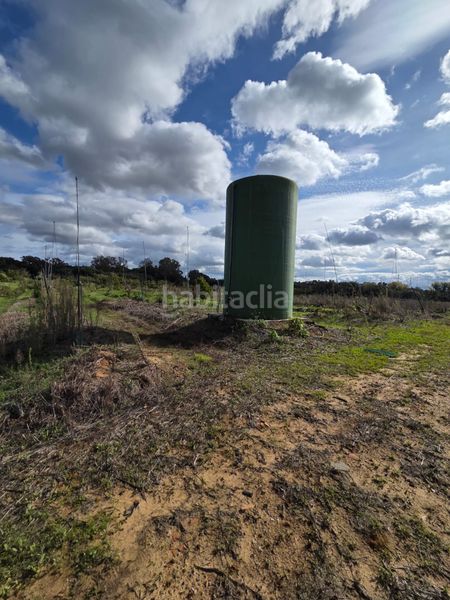 Foto dc256715-a225-4573-ae5f-539220222203. Finca rústica a Castellar de la Frontera