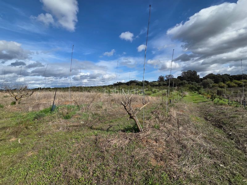 Foto f722eb26-1478-4b5a-8719-75b6b52a01b6. Finca rústica a Castellar de la Frontera