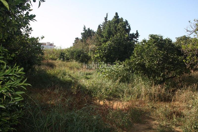 Foto 2cf8fb3d-e37c-411b-9eb0-95fc26aa7e29. House with pool in Barrios (Los)