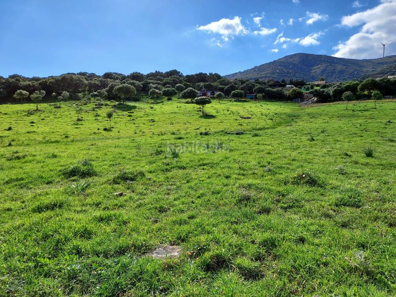 Foto 02b512b8-e29f-44b6-a266-564266490a2c. Fondo rustico in Tarifa ciudad Tarifa