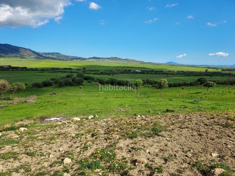 Foto 9e26a7cf-f84a-4a72-b688-b52d812c29ee. Fondo rustico in Tarifa ciudad Tarifa