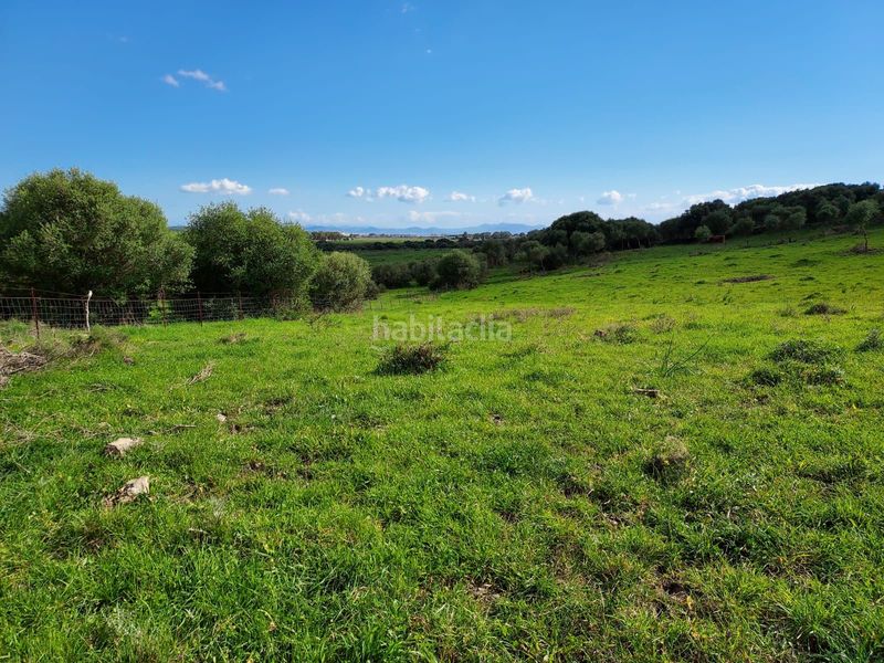 Foto a6741312-56c3-4fa2-8ee6-d962c98e8a91. Fondo rustico in Tarifa ciudad Tarifa