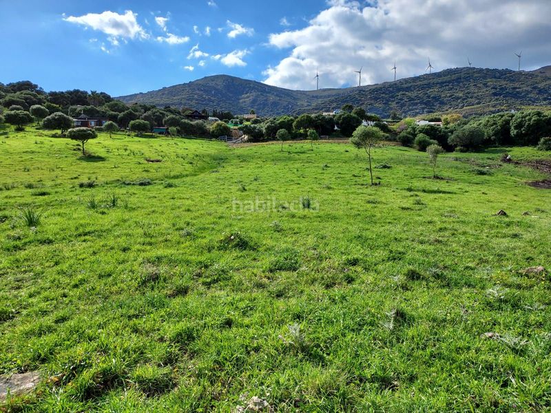 Foto db7fc334-f927-43a9-a02f-18e43d79f6b3. Fondo rustico in Tarifa ciudad Tarifa