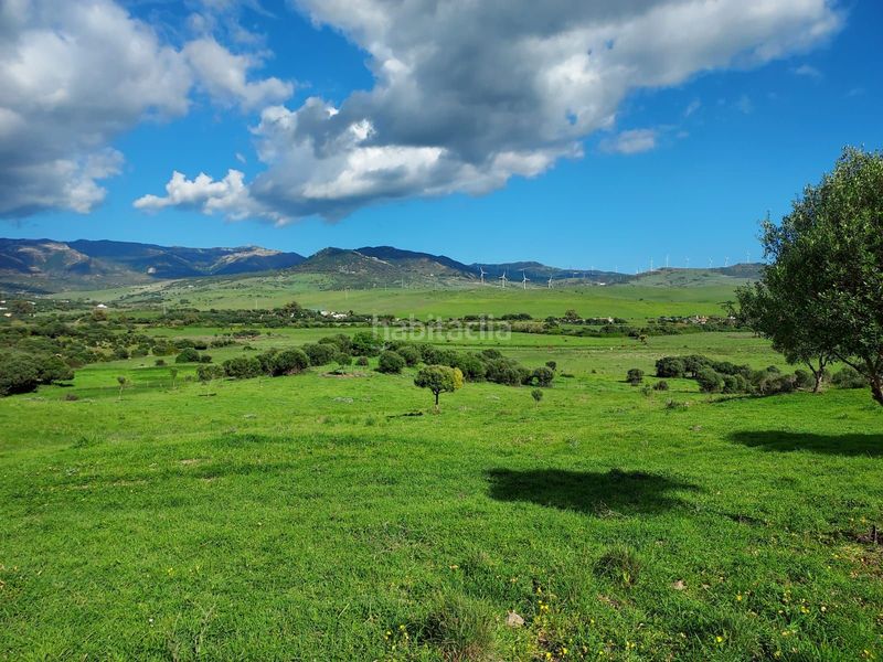 Foto edfafd7e-1502-4b14-8715-5e262ac35c1a. Fondo rustico in Tarifa ciudad Tarifa