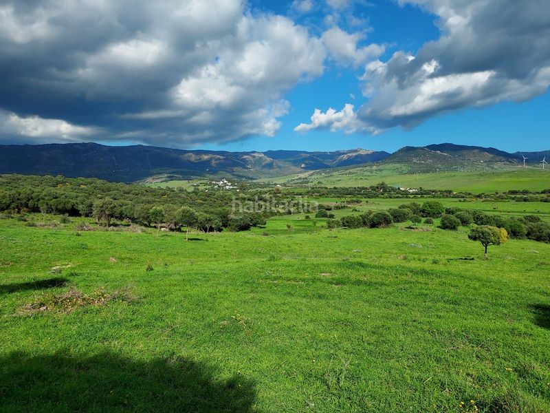Foto fac83795-1af9-482a-825f-8f7c83c3eb1b. Fondo rustico in Tarifa ciudad Tarifa
