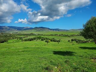 Finca rústica a Tarifa Ciudad