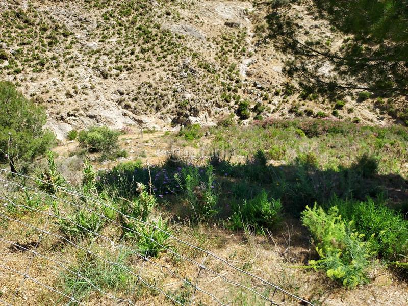 Foto 45a7a733-eced-46a7-a0ff-b33c0c87ced9. Terreno residencial en Monda