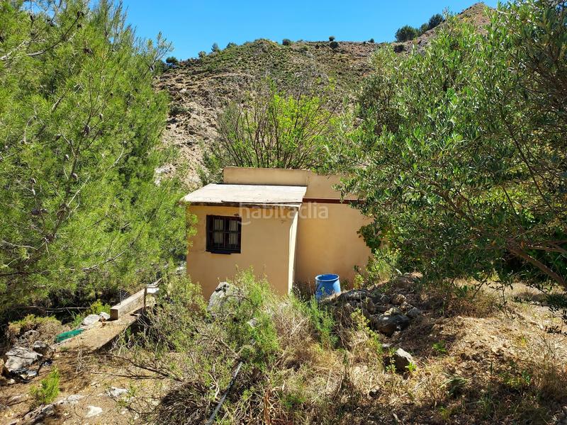 Foto 6549a3d6-fd25-4434-bd88-fb8977898e01. Terreno residencial en Monda