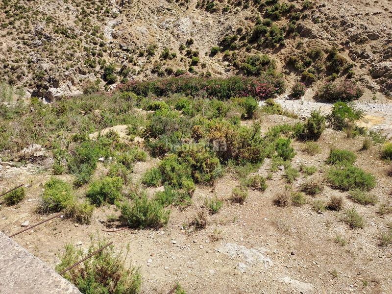 Foto 9ae3f710-0d73-45e8-aa11-7b85ddb23509. Terreno residencial en Monda