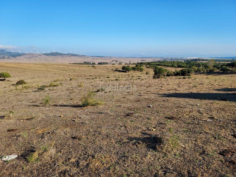 Foto 77a00b91-e9a9-4beb-b2c4-ea1ee9b326bf. Lloguer terreny residencial a Tarifa ciudad Tarifa