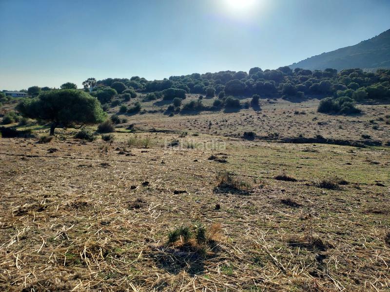 Foto a430a073-52b1-40d5-96ec-9073aecd413f. Lloguer terreny residencial a Tarifa ciudad Tarifa