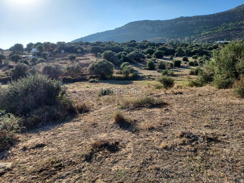 Foto 18641bfe-afa4-4539-a83a-d683e926eef9. Location terrain résidentiel dans Tarifa ciudad Tarifa