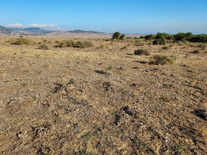 Foto 59ddfd83-7ba0-456f-bfd4-82b7d412f3e4. Location terrain résidentiel dans Tarifa ciudad Tarifa
