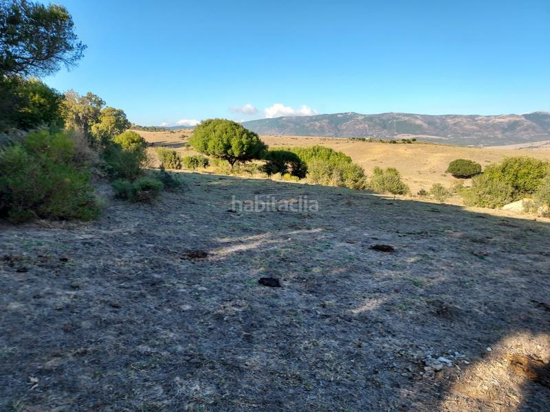 Foto baea5ee1-2f16-48c1-b052-e3d3a985fd75. Location terrain résidentiel dans Tarifa ciudad Tarifa