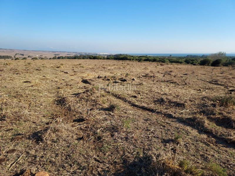 Foto d0aa5a6a-9ae8-4c71-9ac8-af41d55cab94. Location terrain résidentiel dans Tarifa ciudad Tarifa