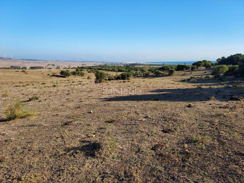 Foto 0e3909dc-88cf-4fac-8aa3-b2ad597799cc. Miete wohngrundstück in Tarifa ciudad Tarifa